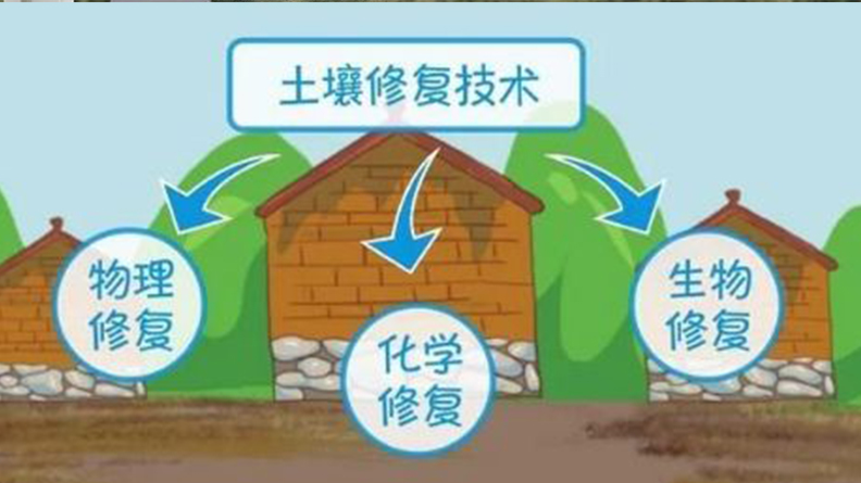 國內示范學校食堂食品安全解決方案
